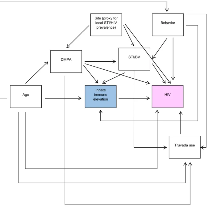 Figure 3.1 Directed Acyclic Graph, Aim 2 