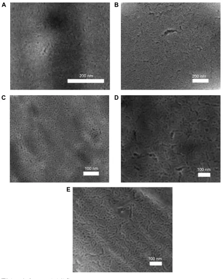 Figure 1 SEM micrographs of mesoporous titania thin films.Notes: SEM micrographs of mesoporous titania thin films prepared with the following structure-directing agents: (A) cTaB, (B) BrIJ s10, (C) P123, (D) P123 and PPg as swelling agents with a ratio of 1:0.5 (PPg-0.5), and (E) P123 and PPg as a swelling agent with a ratio of 1:1 (PPg-1).Abbreviations: CTAB, cetyltrimethylammonium bromide; PPG, poly(propylene glycol); SEM, scanning electron microscopy.