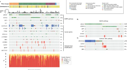 Figure 2: Analysis of the mutational landscape in melanoma tumors. Ainvolved in the CDKN2A-RB1 pathway