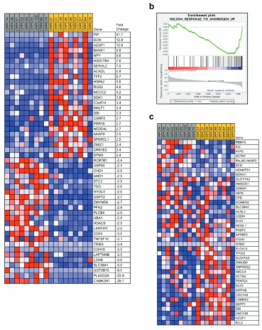 Figure 3: WASF1activity. Normalized enrichment score: –1.50; Supplementary Table 9. dataset (Affymetrix U133A array, accession ID GSE32269), the 9 samples with the highest quartile of 2.67) were compared against the 9 samples with the lowest quartile of mo