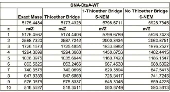 Table 2.1. Mass Spec. table for peptide modification assays treated with NEM 