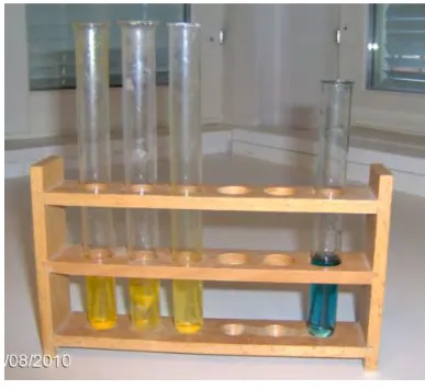 Figure1.1 Dirty test tubes 