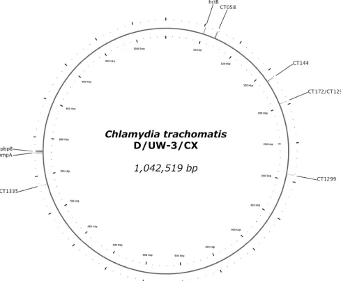 FIG. 1. Graphical representation of the circular genome of Chlamydia trachomatisof the regions used byompA (reference strain D/UW-3/CX)