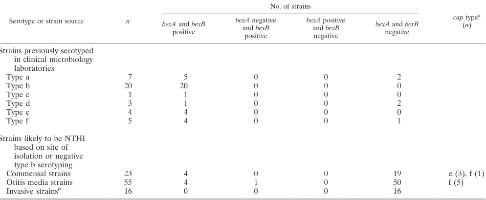 TABLE 2. Results of bexA and bexB detection by PCR among H.inﬂuenzae strains with known capsule status in validation study