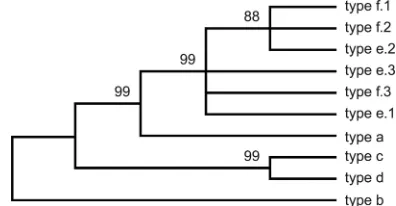 TABLE 6. Pairwise percent nucleotide identities and maximum composite likelihood evolutionary distances for a 666-bp regionof H