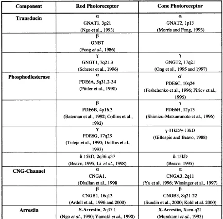 Table 1.2: Components of the phototransduction cascade that differ between rod and cone 
