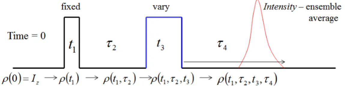 Figure 2.2  The two-pulse Hahn-echo pulse sequence development in the time domain.  