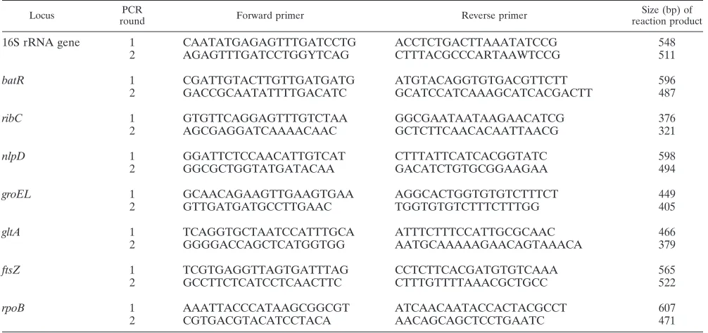 TABLE 1. Origins of cat blood samples and prevalence of Bartonella spp. in these samples