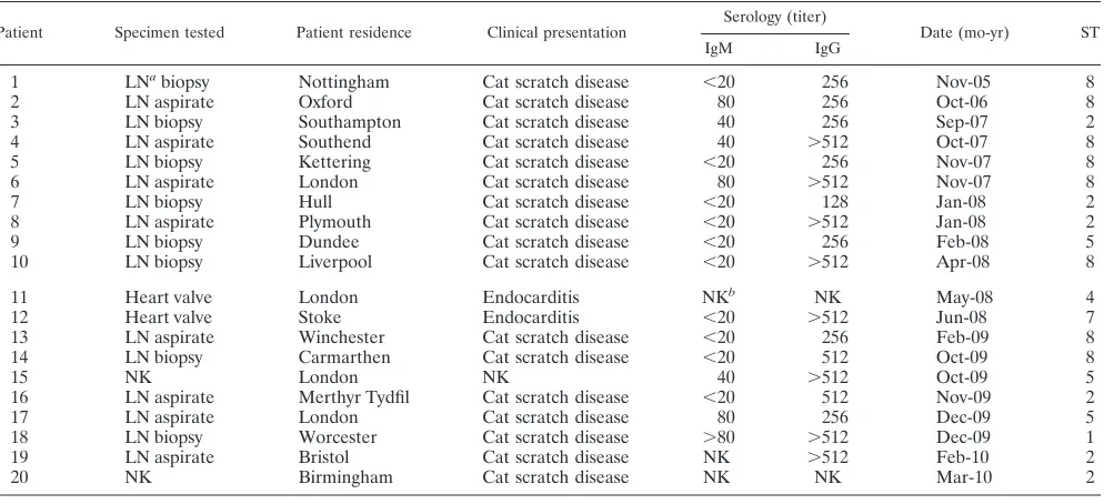 TABLE 3. Correlation between ST and geographical origin amongfeline B. henselae isolates for which MLST data arecurrently availablea