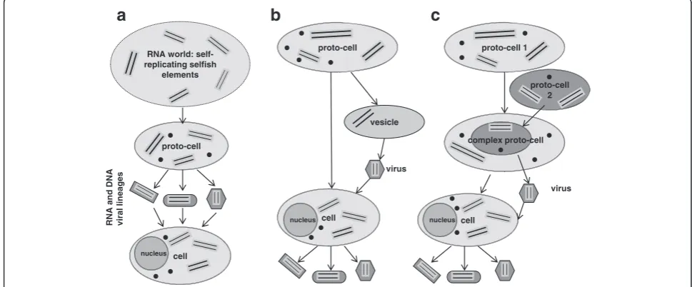 Fig. 1 Three major theories of virus origin. Arrows show the direction of evolutionary changes