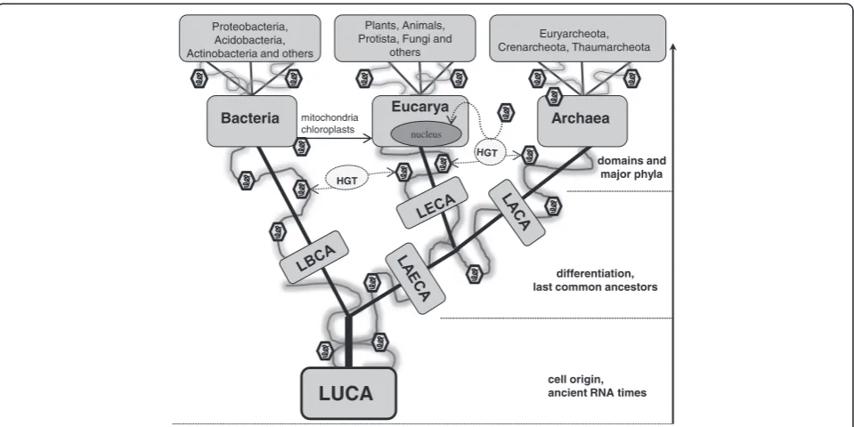 Fig. 2 Tree of life. Schematic presentation of the tree of life. Viruses are depicted as small hexagons