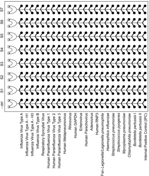 FIG. 1. TaqMan low-density array (TLDA) card layout includingthe respiratory pathogens