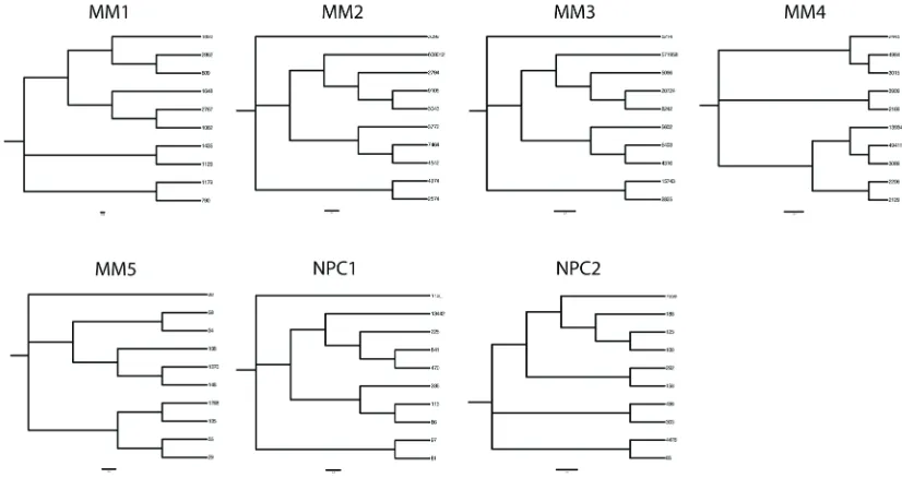 Figure 3: Oligoclonal expansions identified in IGHVto donor germline gene, and the top 10 clonally-related transcripts are aligned at the nucleotide level to show sequence identity to the top read (by dots) or replacement nucleotides as shown in sequences