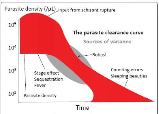 Figure 2.2.  Sources of Variance in the Parasite Clearance Curve 