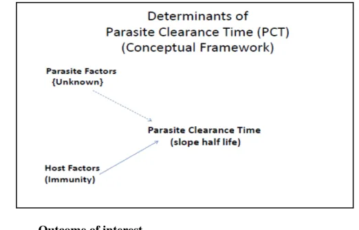 Figure 3.1.  Determinants of Parasite Clearance Time  