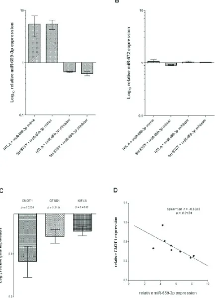 Figure 2: (A) Expression of miR-659-3p, (B) miR-572, (C) CNOT1, GSTE1between miR-659-3p and inhibitor