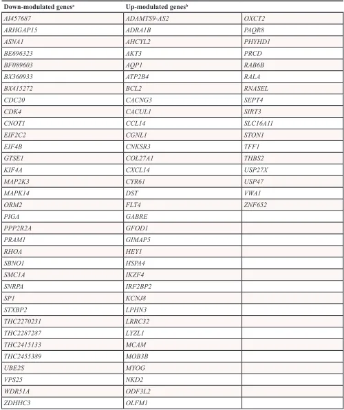 Table 3: Genes specifically modulated by treatment with miR-659-3p mimic, known to be differentially expressed by BM-infiltrating cells and primary tumors
