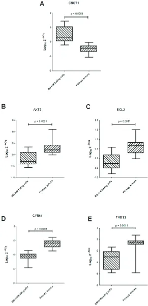 Figure 4: (A) Expression levels of CNOT1 and (B–E) ARE-sequence containing genes involved in focal adhesion pathway in 10 BM-infiltrating and 10 primary tumors