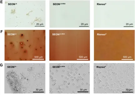 Figure S1 Biophysical properties of sPIONs. field microscopy (Notes: (A) representative transmission electron micrographs of seONla-Bsa, seONla and rienso®