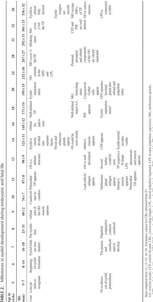 TABLE 2.Milestones in eyelid development during embryonic and fetal life Age in  weeks56789101112141618202428313236 CRL  (mm)5–78–1416–1823–3140 ± 276 ± 787 ± 898 ± 9121 ± 11145 ± 12171 ± 14195 ± 15232 ± 18267 ± 27292 ± 33301 ± 33336 ± 32 EventLens pit sta