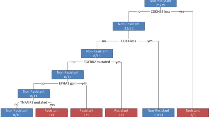 Figure 4: Decision tree for differentiating resistant from non-resistant patients.  Branches represent decisions based on genes  identified as influential in differentiating phenotypes