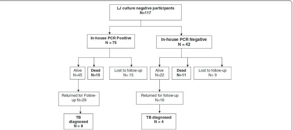 Figure 2 Clinical outcomes for LJ-culture negative patients comparing PCR-positive and PCR-negative groups at 2 months follow-up.