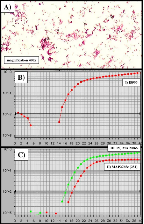FIG. 3. Calculation of the detection limits for M. aviumcalculations were done with Sigma Plot software (SPSS Inc
