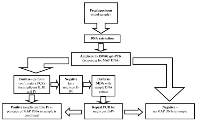 FIG. 4. Suggested workﬂow for the detection of M. aviumampliﬁcation. Amplicon I subsp