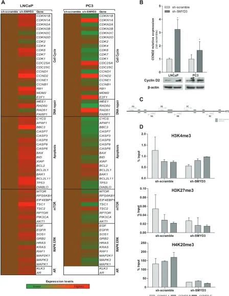 Figure 6: Identification of putative SMYD3 target genes and its regulation by SMYD3 histone marks