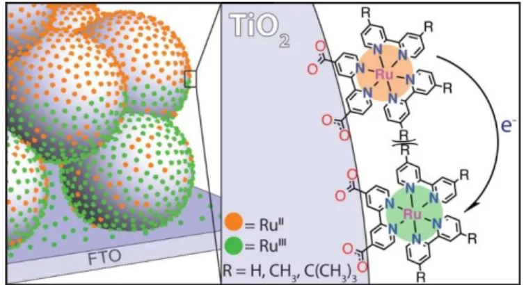 Figure 1.9: Lateral electron self-exchange between surface anchored Ru chromophores. Adapted from  Ref 95