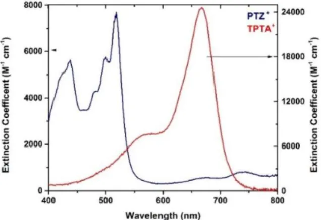 Figure 3.2:  The visible absorption spectra of TPTA +  and PTZ +  in 0.1 M NaClO 4 /CH 3 CN electrolyte