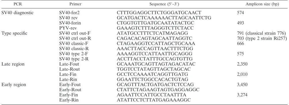 TABLE 1. PCR primers sequences used in this study