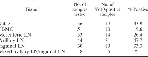 TABLE 2. PCR detection of SV40 in tissues of SHIV-infectedrhesus macaques