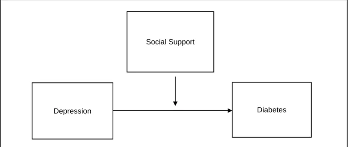 Figure 1.1. Generalized conceptual model for the present study: a moderation model. 