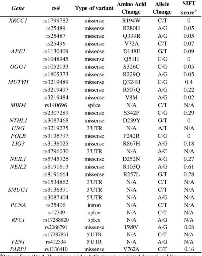 Table 11. List of successfully genotyped BER SNP in HWE   Gene rs# Type of variant Amino Acid 