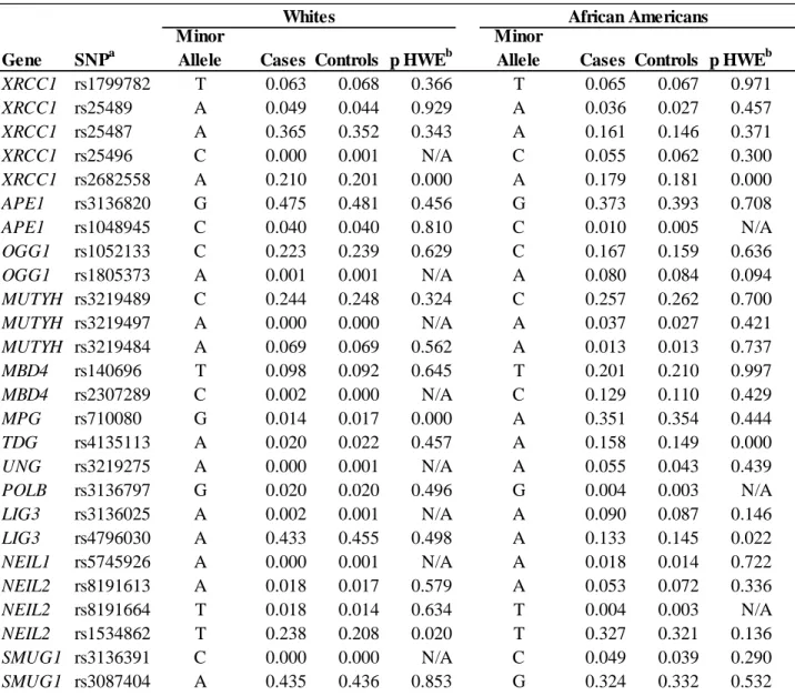 Table 12. Minor Allele Frequencies (MAFs) of BER variants stratified by race and case status 