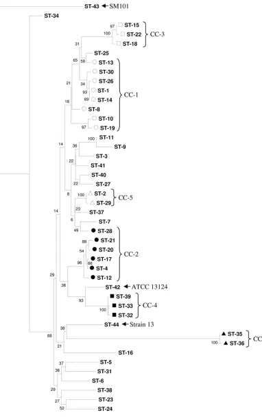 FIG. 3. Neighbor-joining phylogeny of C. perfringens(composite likelihood model and was condensed where bootstrap support wasF isolates from the current study