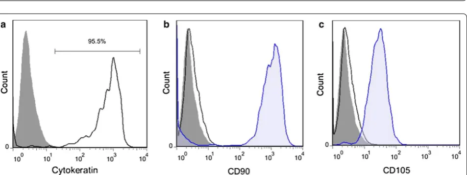 Fig. 5 Yield and viability of isolated hAECs. ba The average yield of isolated hAECs was 190 × 106 cells with a typical range of 90–280 million cells