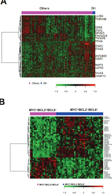 Figure 6: Gene expression signature for MYC/BCL2 double-hit DLbcL (A) and comparison of MYc + bcL2 +  bcL6 − versus MYc + bcL2 − bcL6 +  translocation in DLbcL (b).