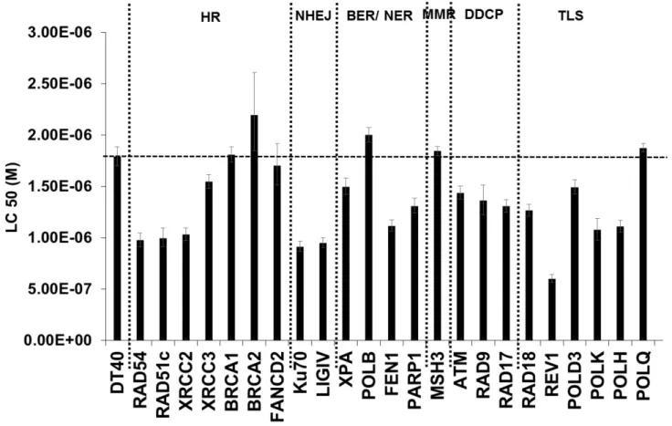 Figure 1: DNA damage response analysis in DT40 cells and their DNA repair mutants exposed to H 2 O 2 