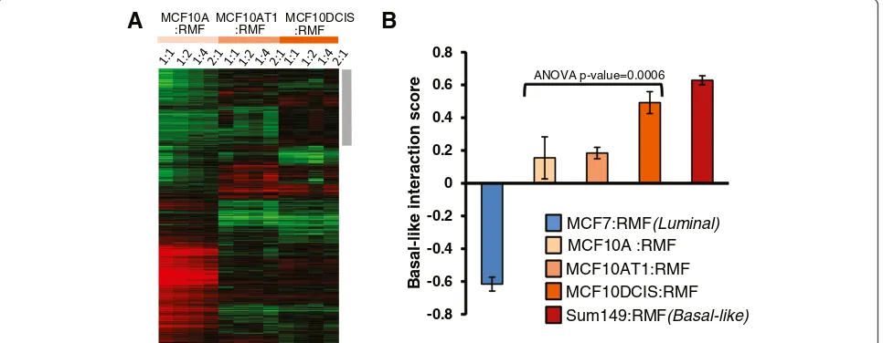 Figure 1 MCF10A series progressively acquires basal-like microenvironment characteristics