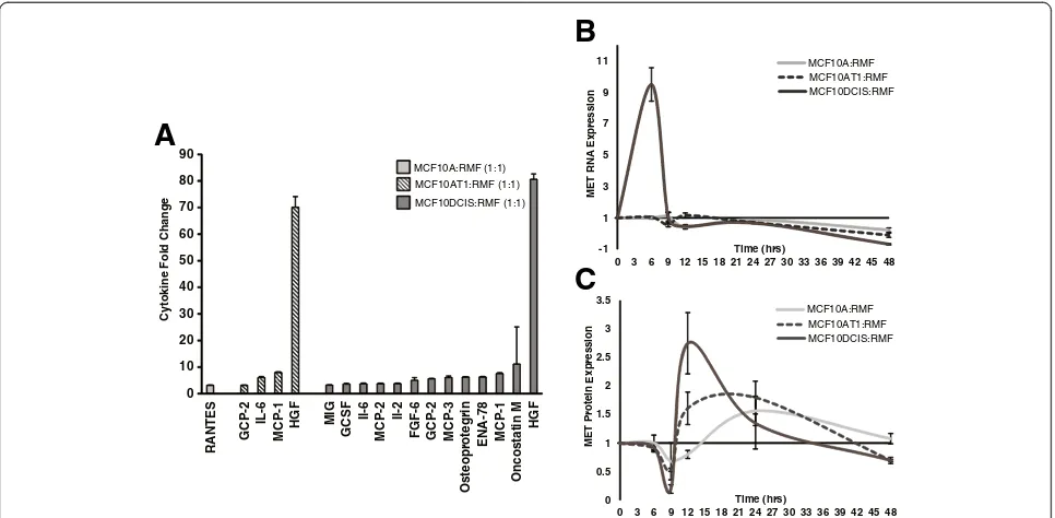 Figure 2 MCF10A series cocultures present differentially secreted cytokines and MET receptor status