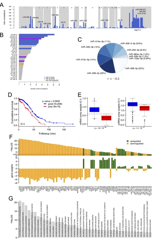 Figure 1: Significant miRNAs, mRNAs and pathways.  (A) Schematic transcriptome-wide view of the number of significant (FDR 