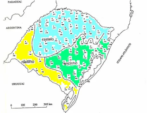 Figura 7: Uma mostra onde se fala “rastilho” e os outros variantes “rastelo” e “ancinho” no Rio Grande do  Sul (Rocha, 2008: 51).