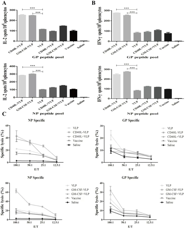 Figure 6: ELISPOT and CTL assay of splenocytes from immunized mice.  7 days after the last immunization, splenocytes of  the mice were isolated and stimulated with NP or GP peptide pool, each pool contain peptides of 15 amino acid residues with 8 overlaps