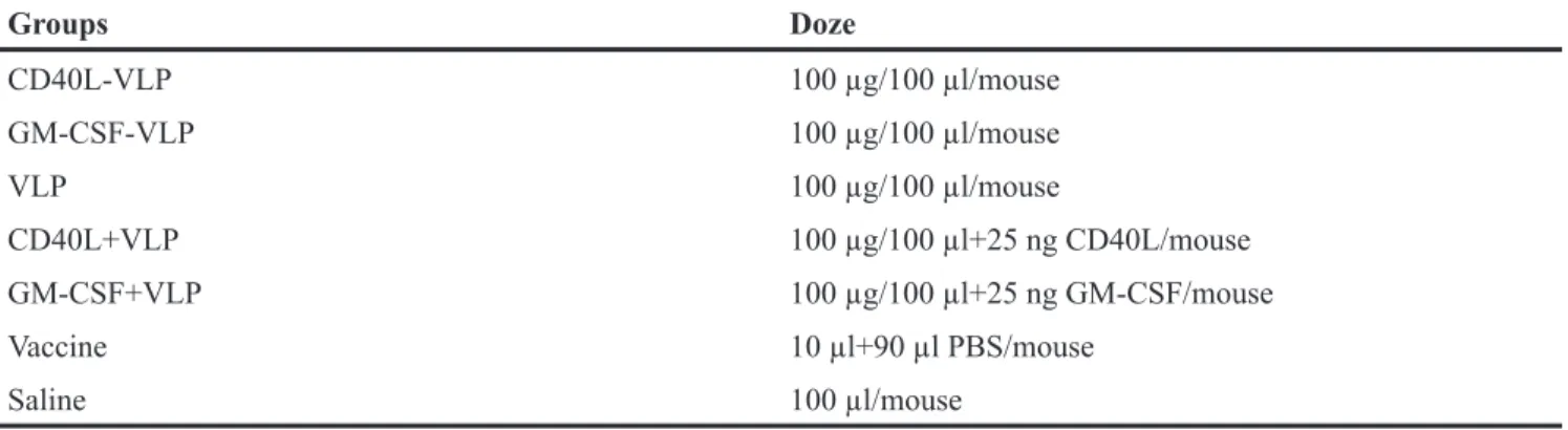 Table 3: Immunization dose for animal experiments