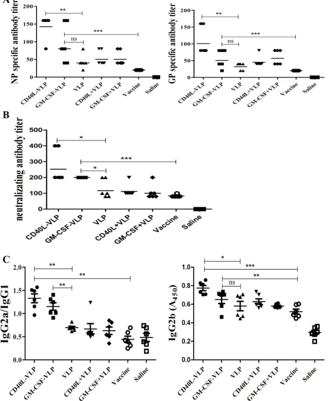 Figure 5: Detection of HTNV specific antibodies and antibody subtypes.  7 days after the last immunization, sera from the  mice were collected and subjected to A