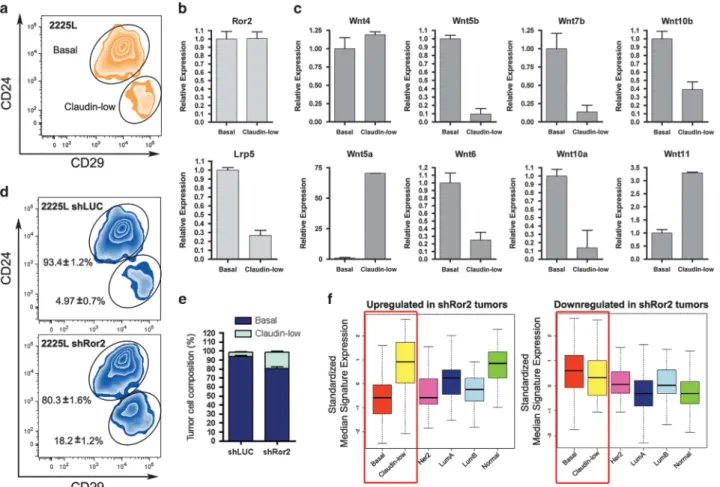 Figure 4. shRNA depletion of Ror2 expression in vivo results in changes in tumor cell plasticity between basal-like and claudin-low subpopulations in the 2225L TP53-null model