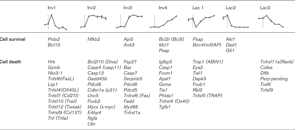 Table 4