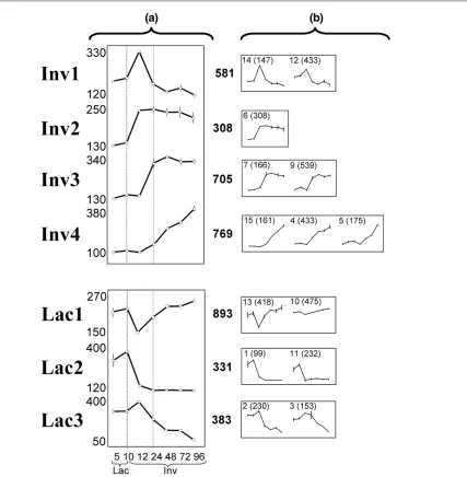 Figure 4Clusters of gene expression profiles from a seven-point time course of mammary lactation and involution